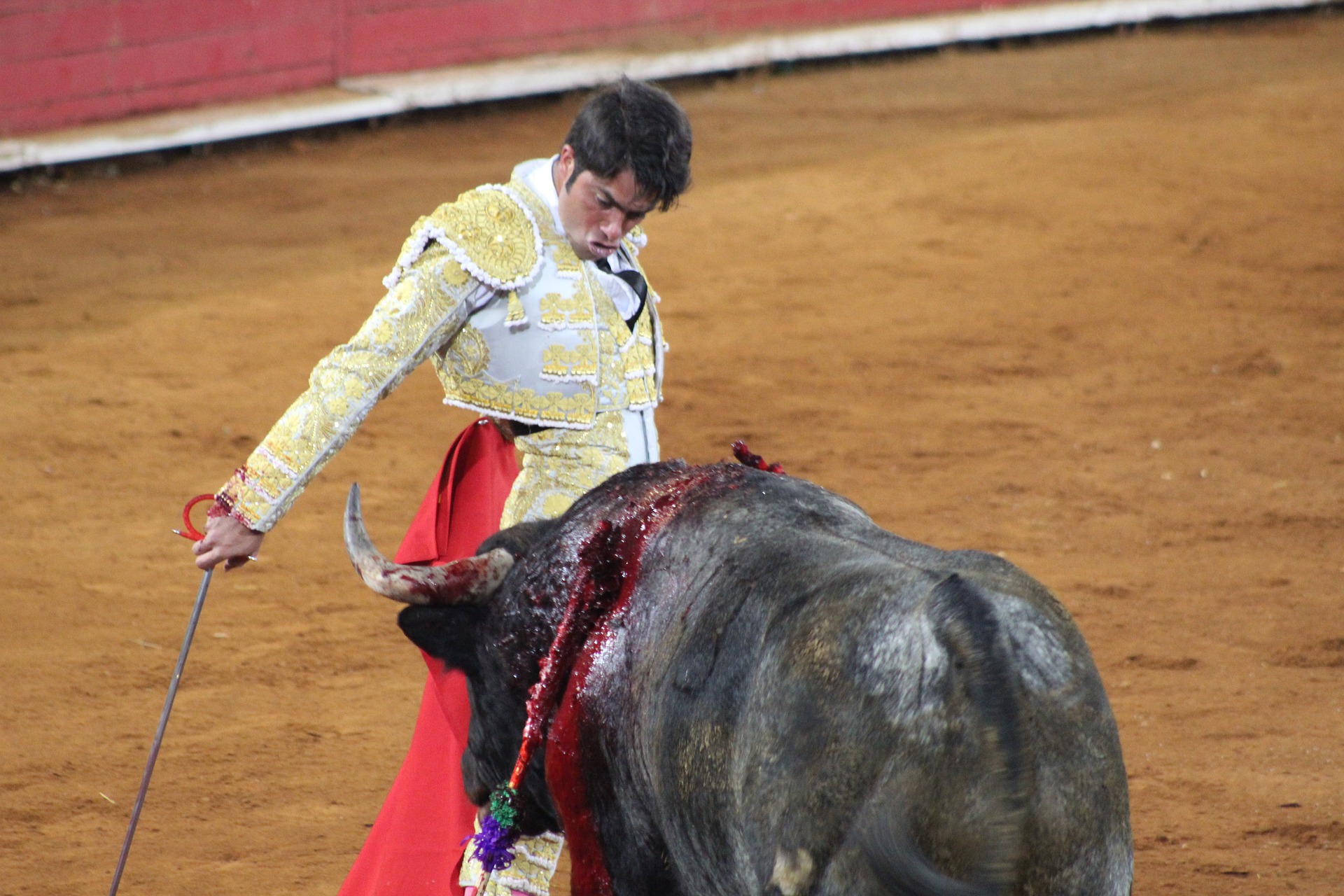 A matador avoids the bull's horns.