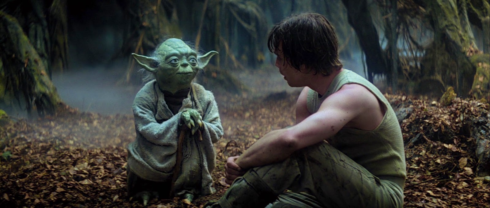 Master Yoda and Luke Skywalker