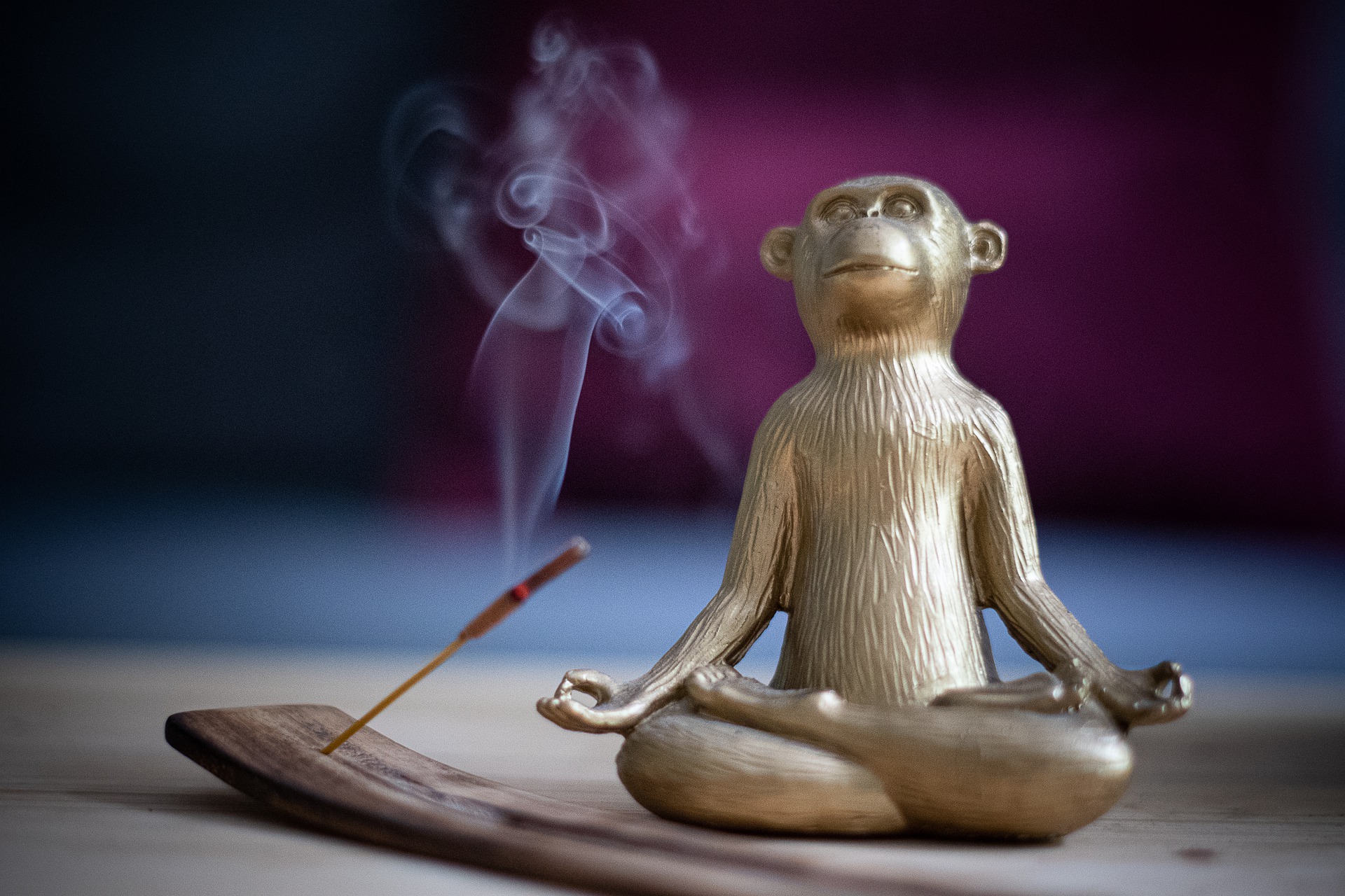 statue of monkey master in meditation