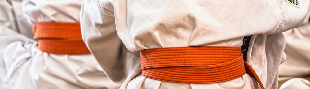 Are Colored Belt Ranks are traditional?