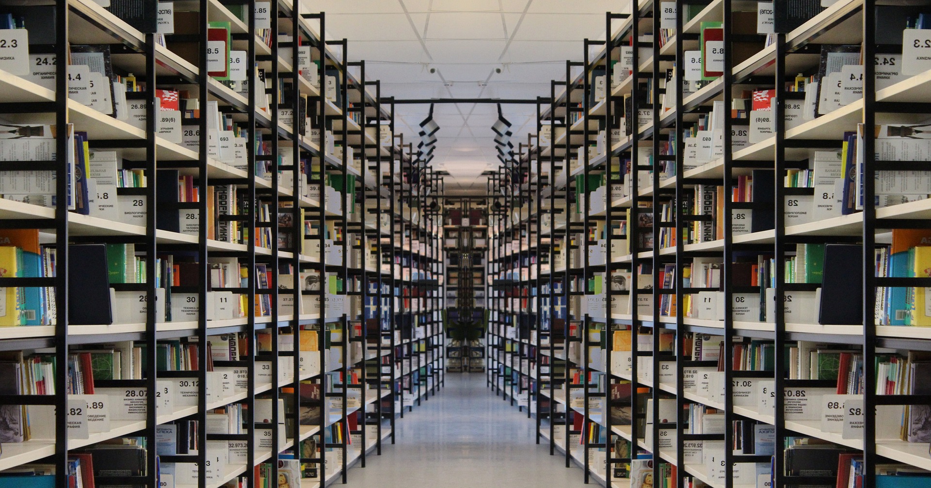 Library stores knowledge