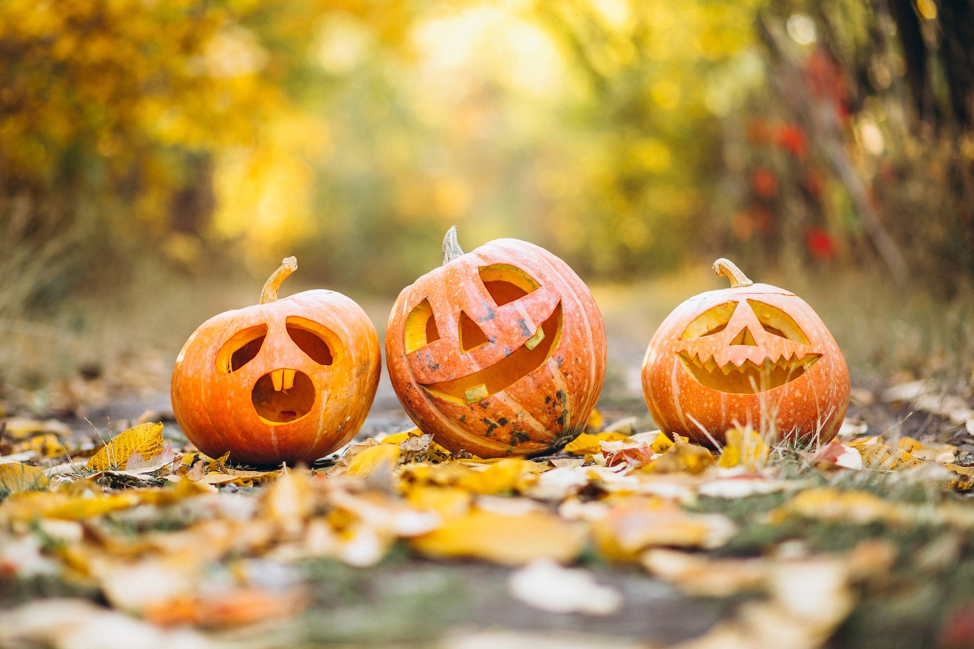 Spooktacular Fun with Safety: Halloween Tips for Families